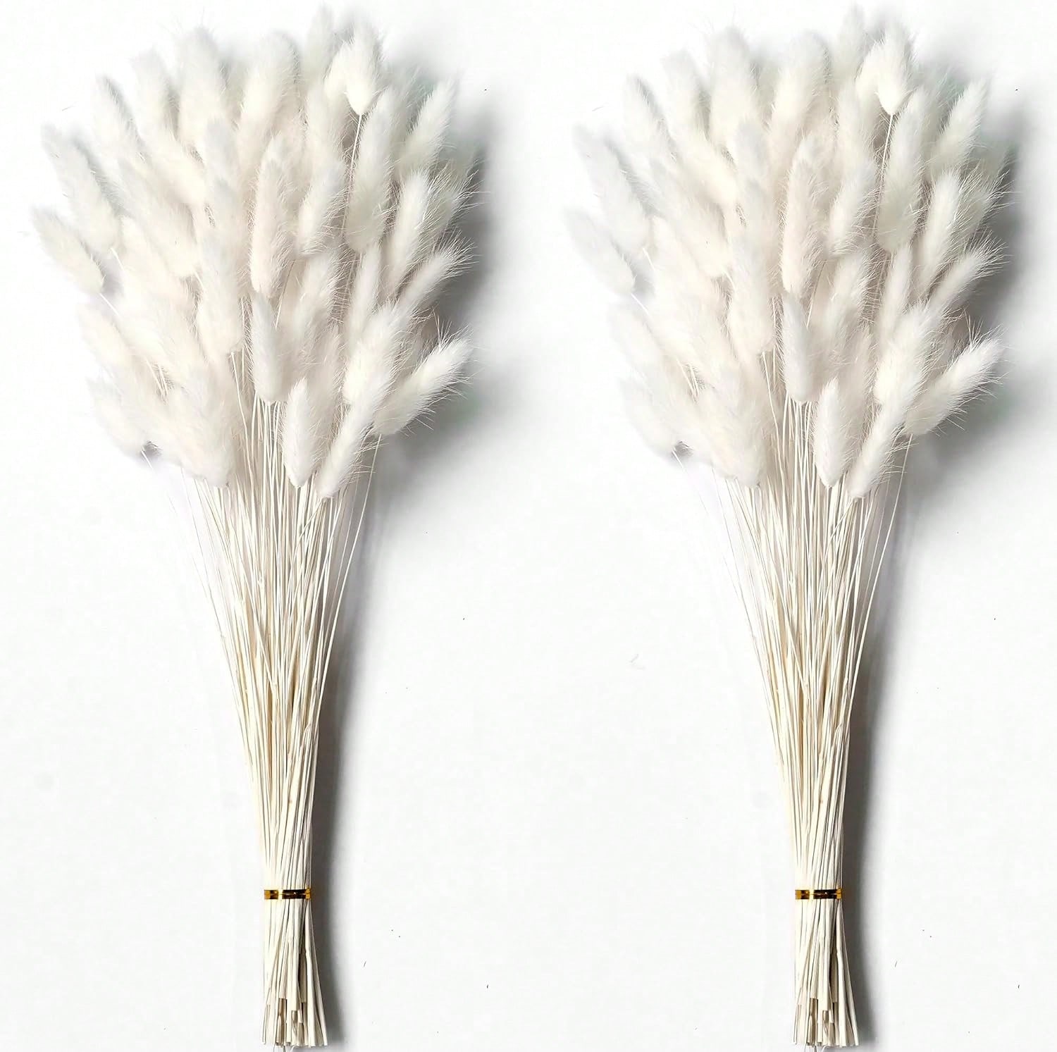 120 PCS Dried Pampas Grass Dec - Pampas Grass Decor recension och pris