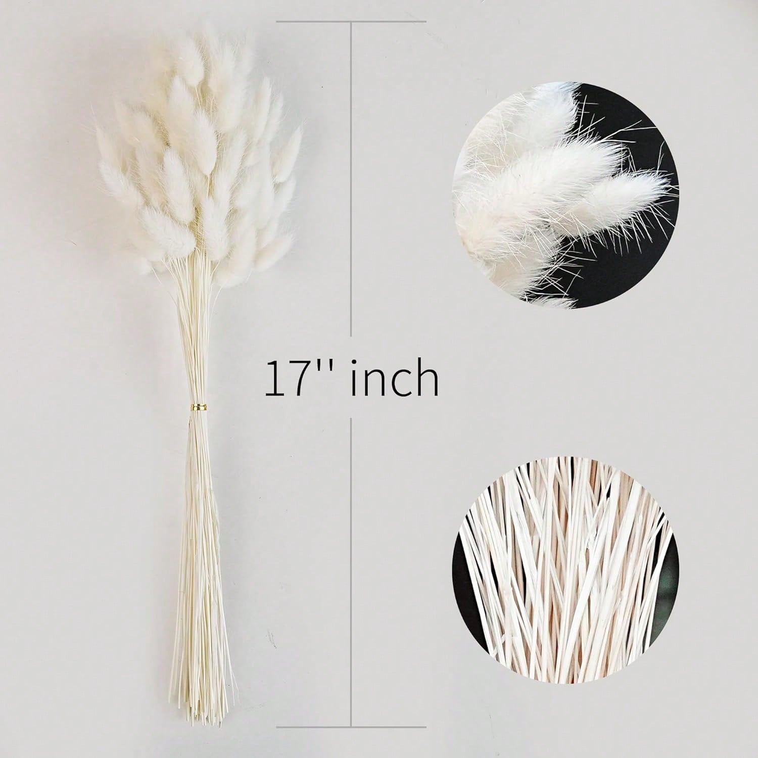 120 PCS Dried Pampas Grass Dec - Pampas Grass Decor recension och pris